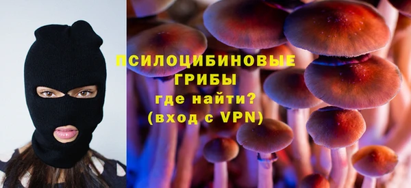 ПСИЛОЦИБИНОВЫЕ ГРИБЫ Богданович