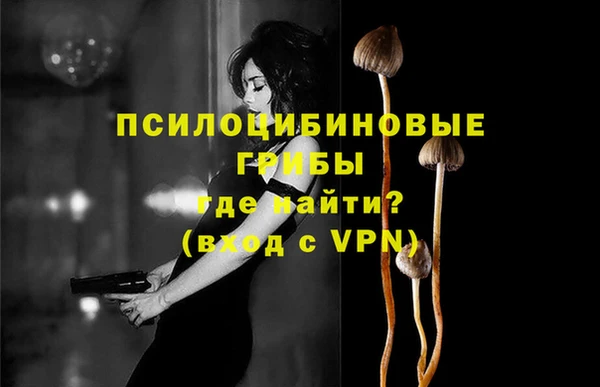 ПСИЛОЦИБИНОВЫЕ ГРИБЫ Богданович
