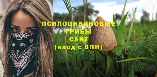 стафф Богородицк
