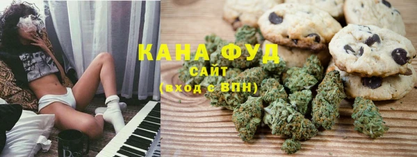 ПСИЛОЦИБИНОВЫЕ ГРИБЫ Богданович