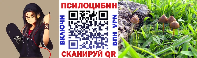 Галлюциногенные грибы Cubensis  Оха 